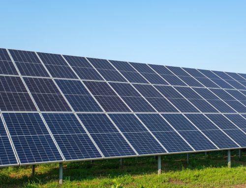 Choosing Reliable Solar Panels for Long-Term Savings