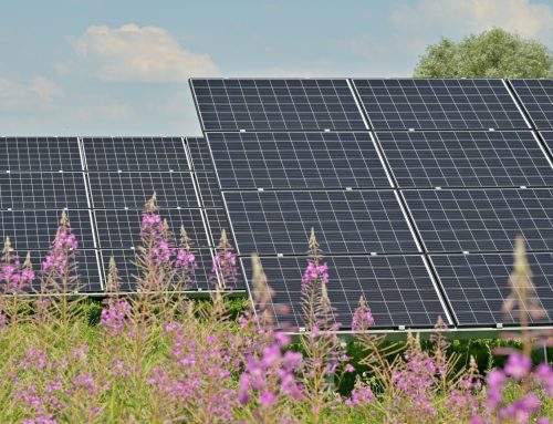 Solar Panel Setup Requirements in Adelaide