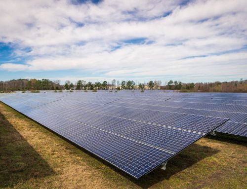 Dealing With Hail Damage: How Certified Panels Protect Your Adelaide Solar Investment