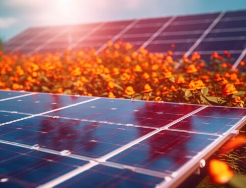 Why Ethical Solar Panels Are Becoming a Big Deal